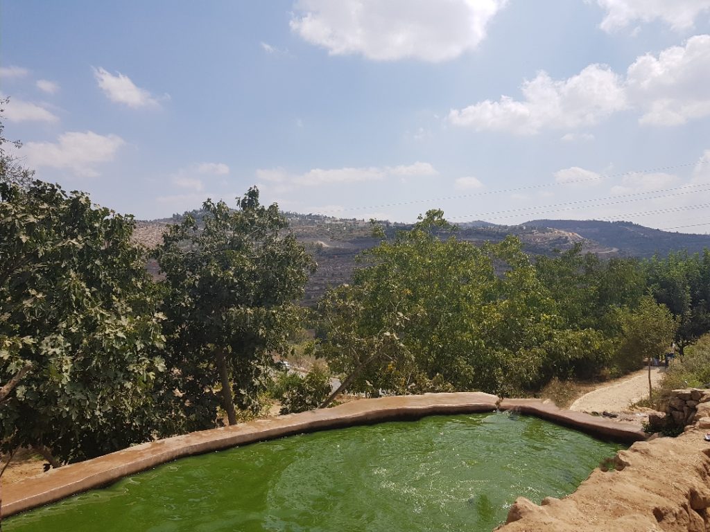 עין לבן