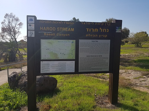 קניון הבזלת נחל חרוד