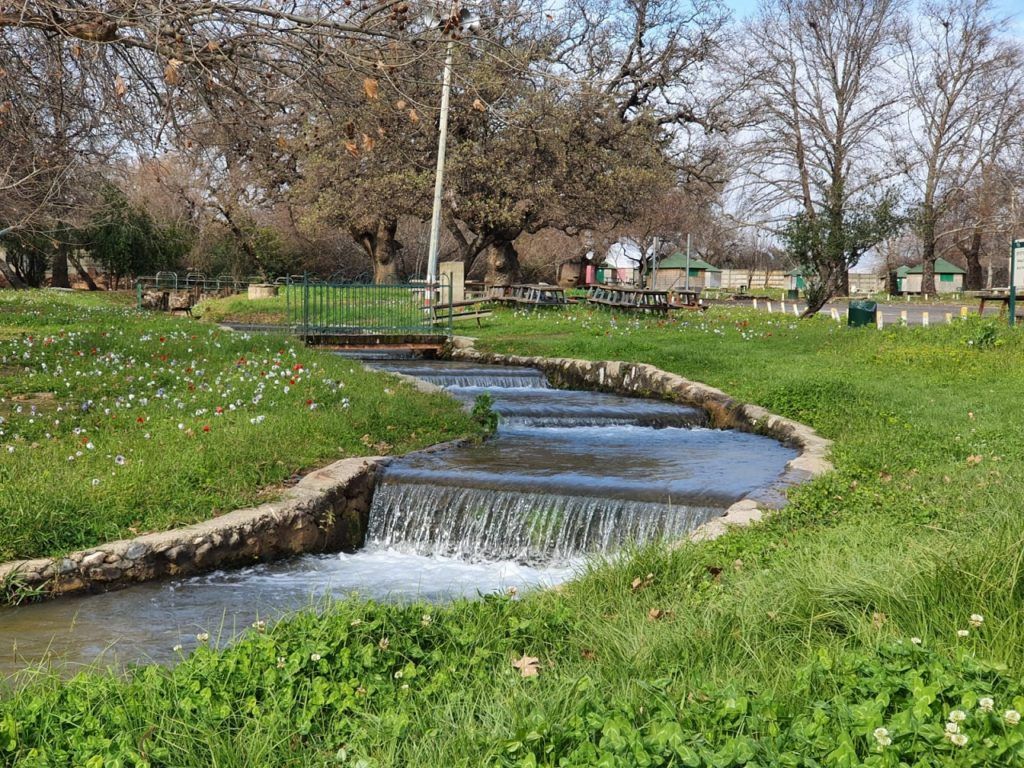 חורשת טל – פארק טבע עם פלגי מים וחניון לילה מסודר