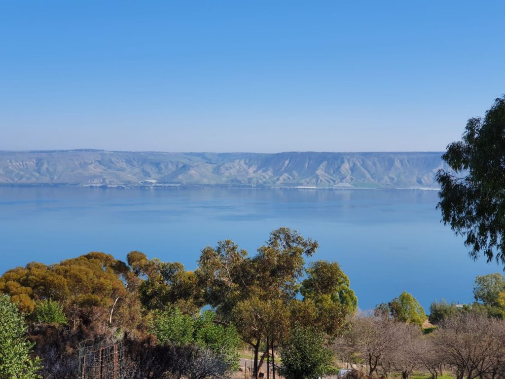 יער שוויץ – טיול בדרך נוף הכנרת