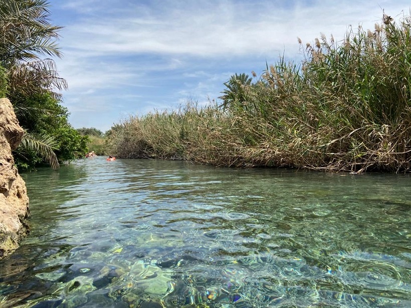 עין מגדל - נחל הקיבוצים המסלול הרטוב