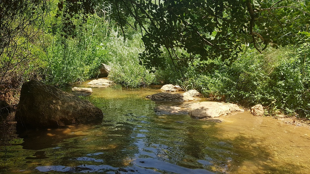 גן לאומי נחל צלמון