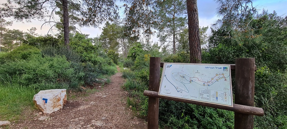 שביל הבריחה ביער עופר יער חוף הכרמל