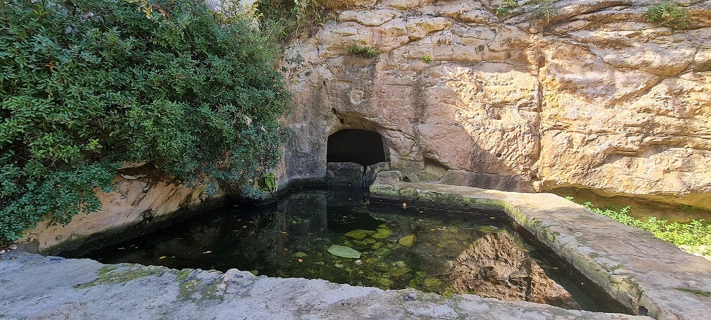 נחל שיח בוסתן כיאט חיפה