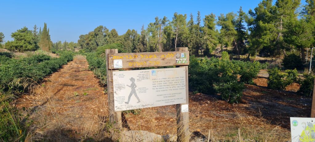 שביל האורנים ושביל אלוני התבור – כוכב יאיר