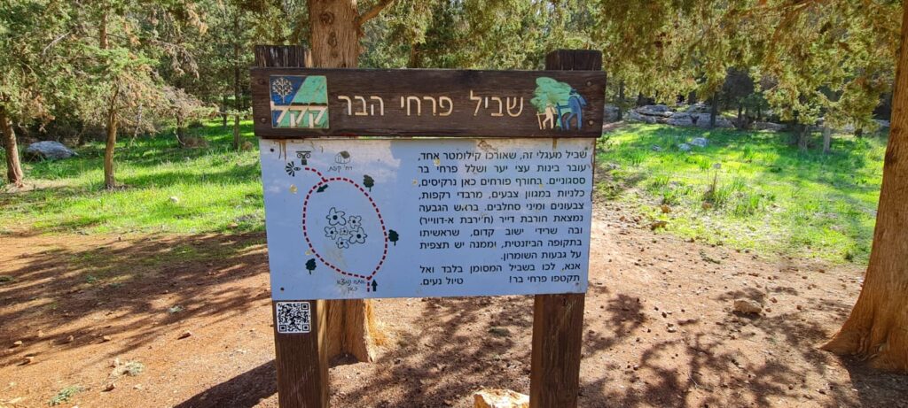 מסלול שביל פרחי הבר – חורבת דייר ומצפור אילן יער ראש העין