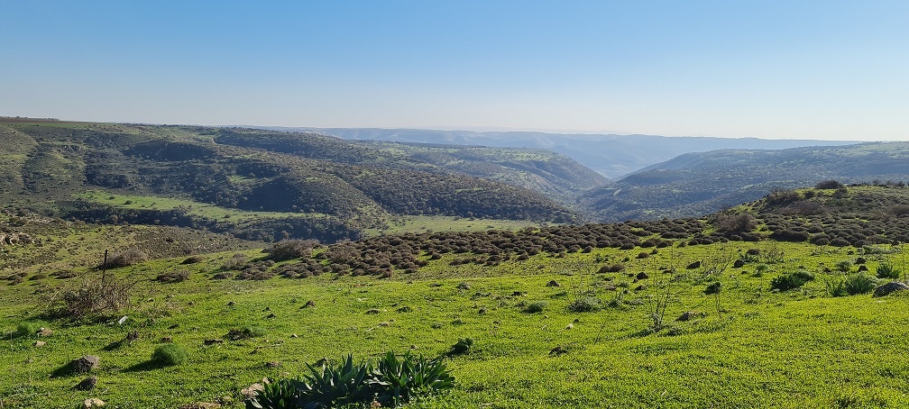 שמורת הטבע נחל מיצר