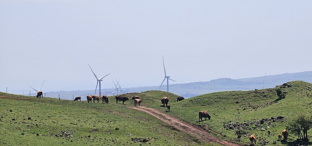 הר אודם שביל הגולן