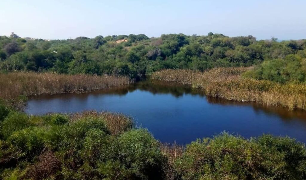 אגם ניצנים צילום יאיר שוהם