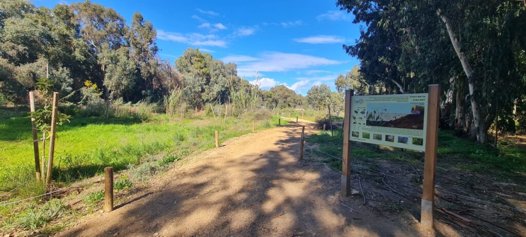 אקו פארק גלילות - חורשת דרזנר ושלולית החורף