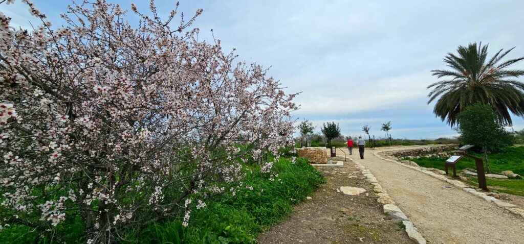גבעת התיתורה במודיעין – טיול נגיש לכל המשפחה