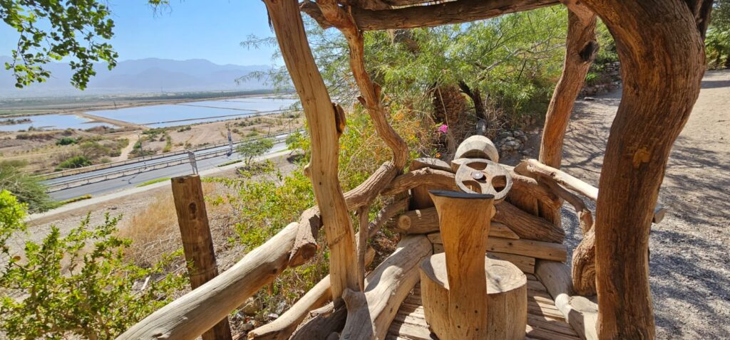 הגן הבוטני באילת