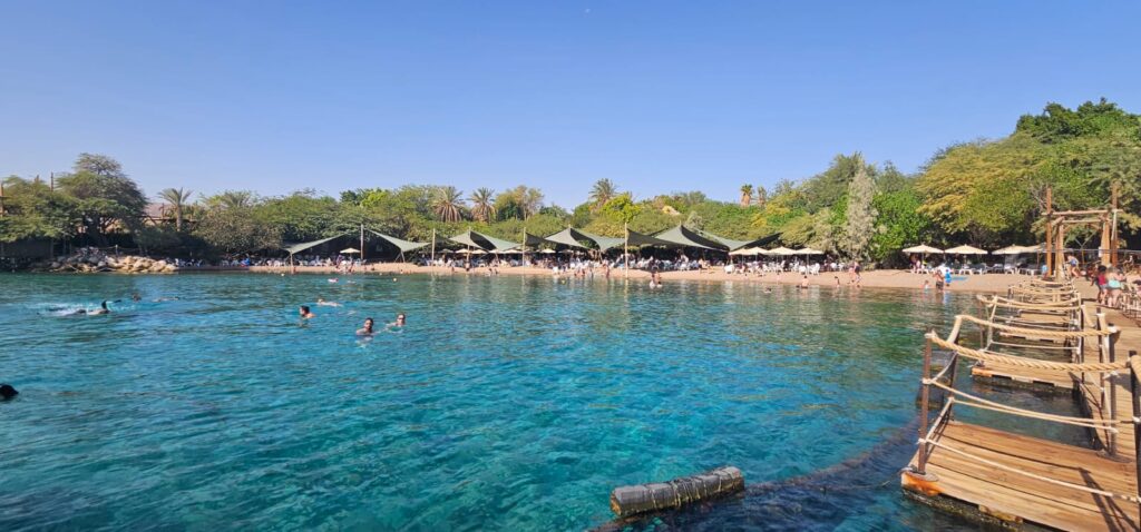 מבט מהמזח אל חוף ריף הדולפינים