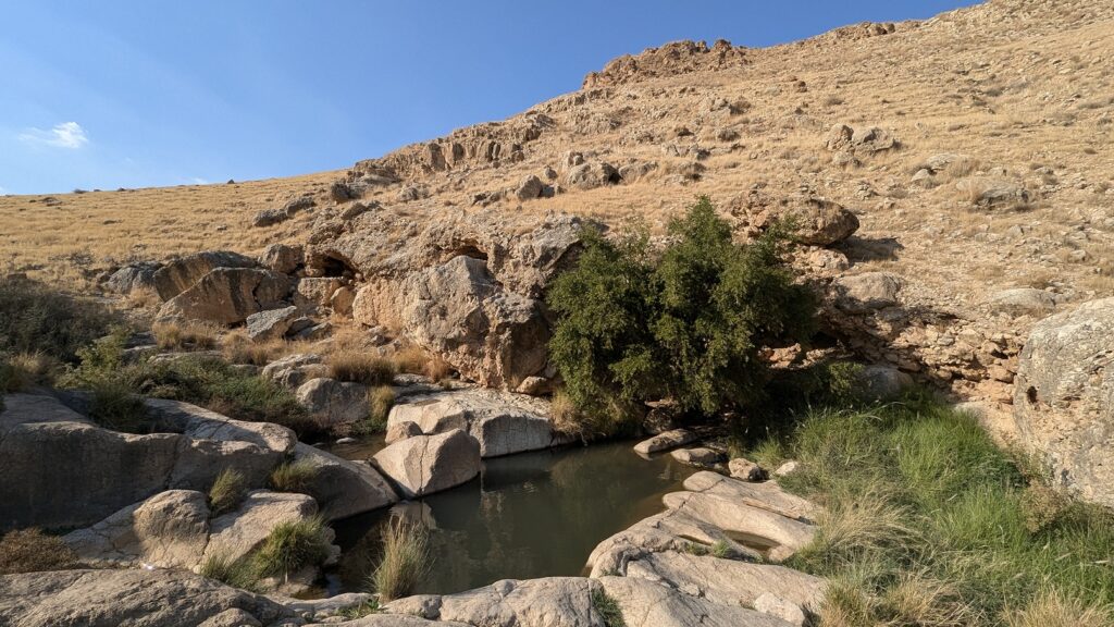 עיינות פצאל