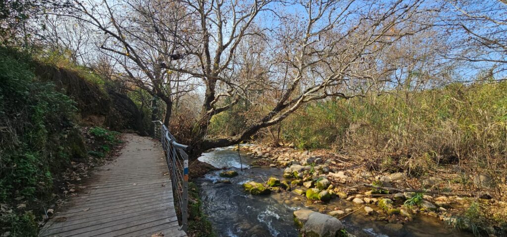 שמורת הטבע נחל שניר – חצבאני