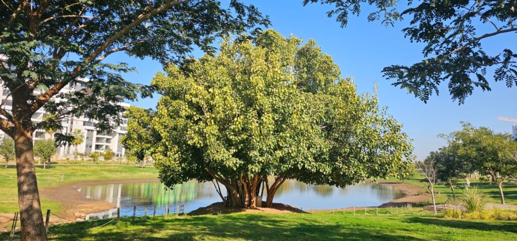פארק גליל ים הרצליה