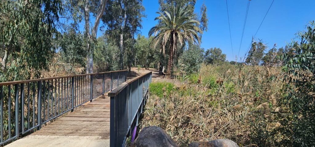 ביצת כנרת: פסיפס של טבע והתיישבות