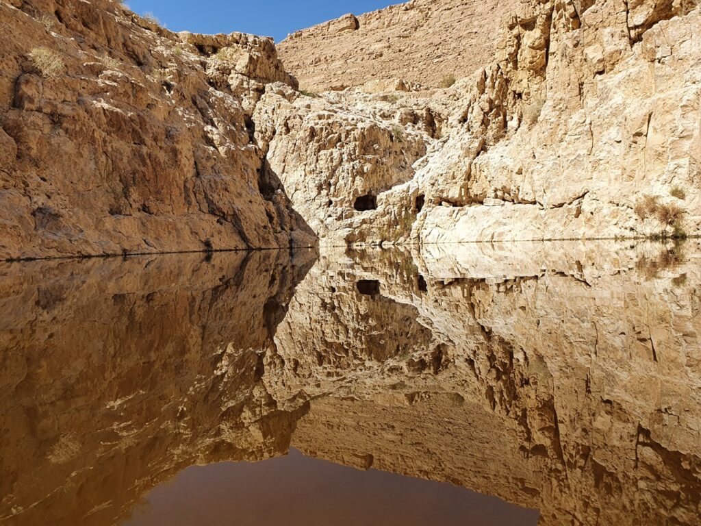 עין אום צאלח: המדריך המלא למעיין החבוי בלב מדבר