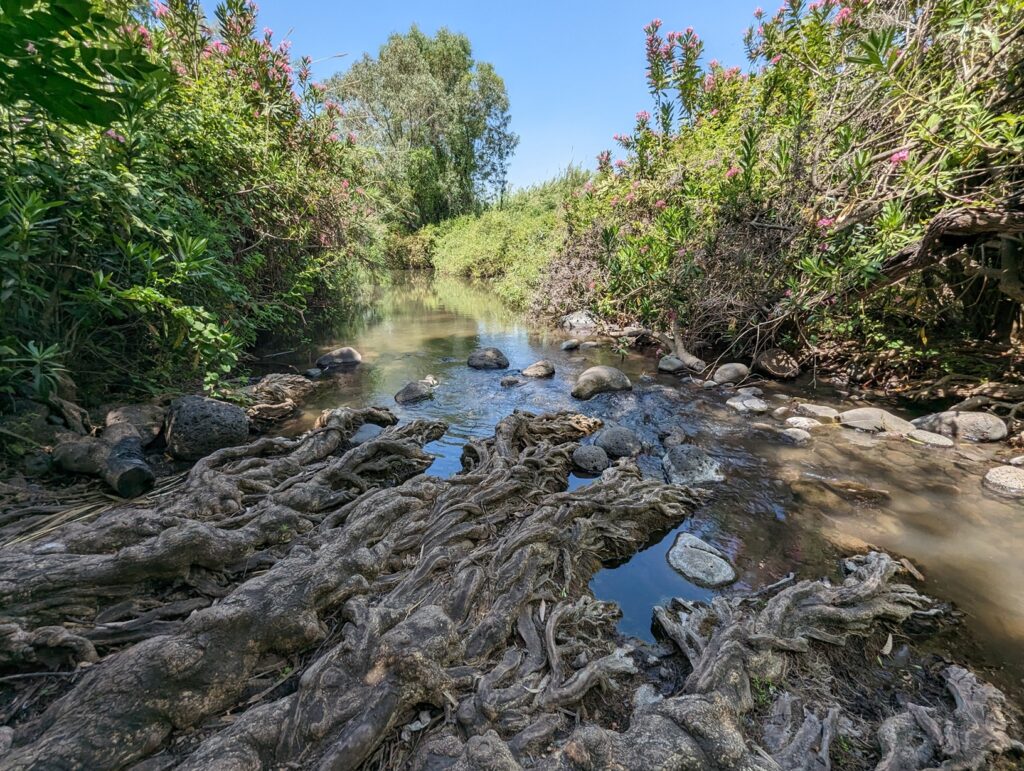 הזאכי: פנינת טבע קסומה במפגש הנחלים יהודיה ומשושים