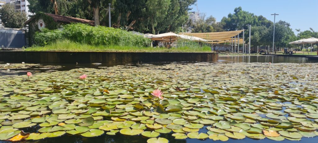 גן בעברית ראשון לציון