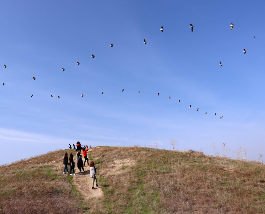 באדיבות תיירות ניד דוד