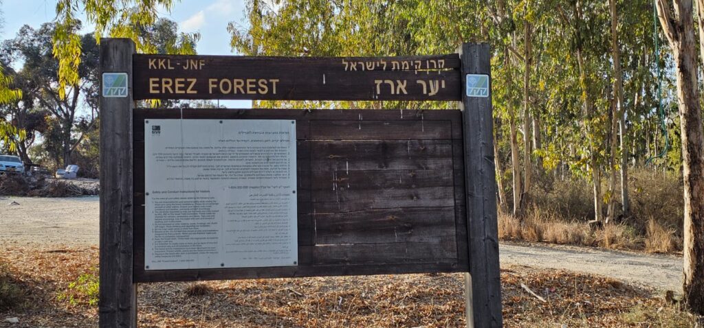 יער ארז: גשר הקשתות, תחנת דיר סנייד ואנדרטת הפועלים המצרים