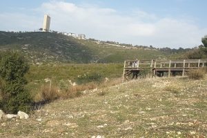 שמורת הטבע חי בר חיפה