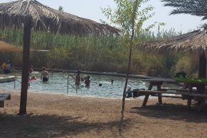 שמורת הטבע עיינות צוקים