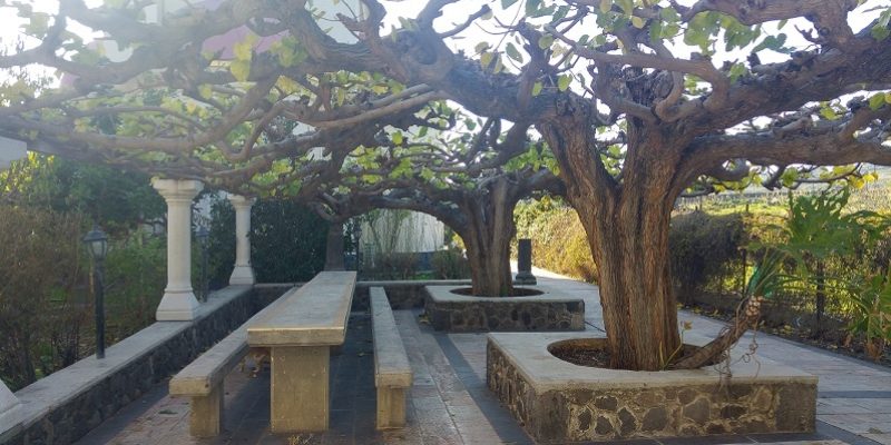 כנסיית שנים-עשר השליחים בכנרת