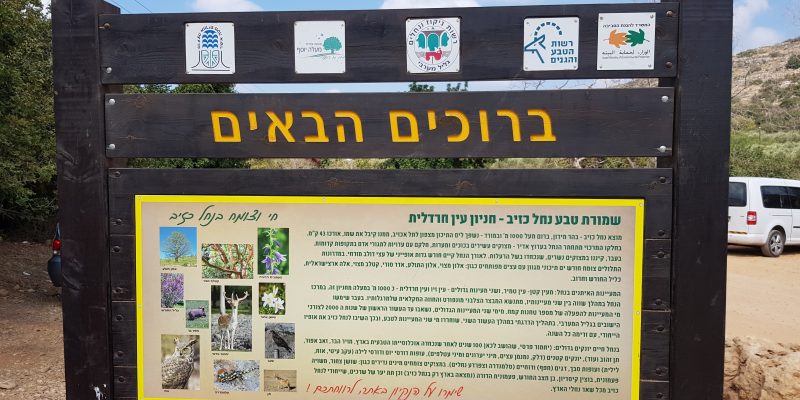 עין חרדלית נחל כזיב