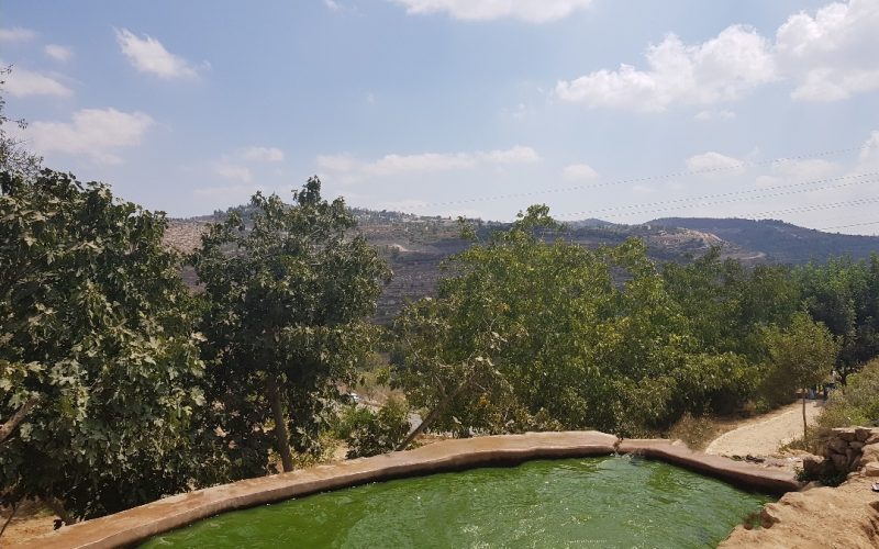 עין לבן מעיינות בירושלים עין לבן