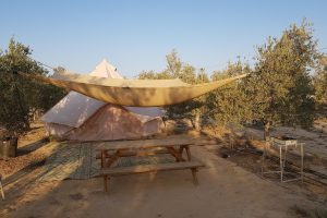 חוות נועם במדבר - קמפינג