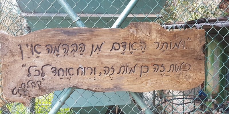 גן וחיות - גן חיות בקיבוץ דגניה א'