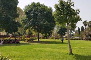 גן בוטני זואולוגי נהריה