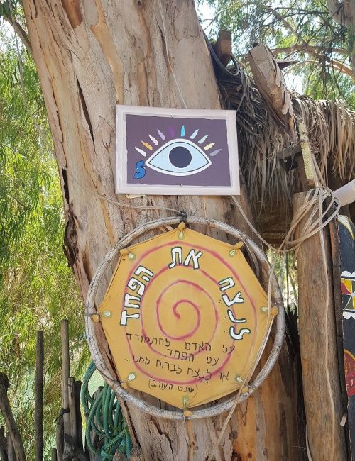 רוב רוי – שייט קיאקים על הירדן בצפון