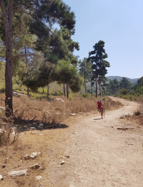עין אלון – מעיין הנובע בתוך ערוץ נחל אורן