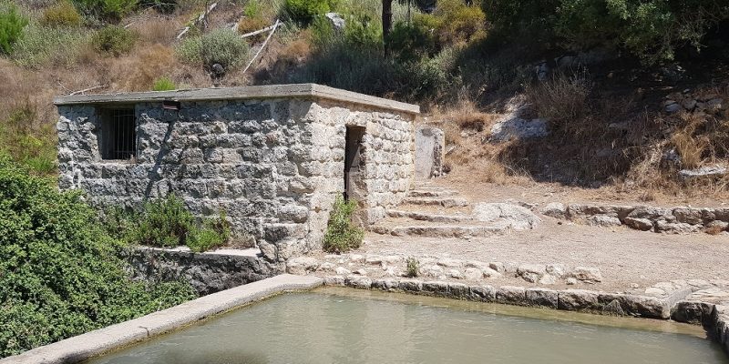 עין אלון – מעיין הנובע בתוך ערוץ נחל אורן