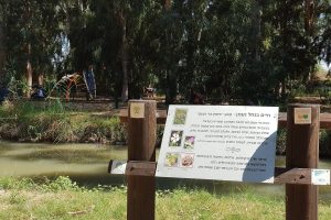 שביל נחל נעמן – טיול מונגש לעגלות לצד הנחל