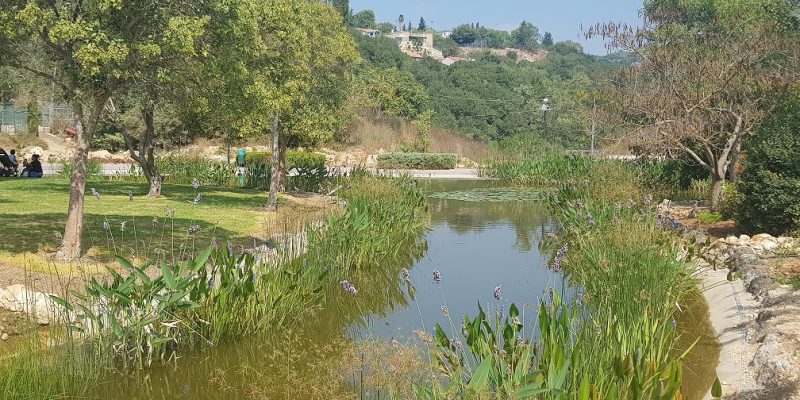אגם מונפורט פארק תיירות לכל המשפחה