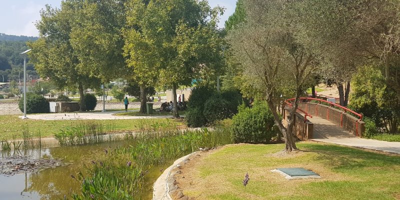 אגם מונפורט פארק תיירות לכל המשפחה