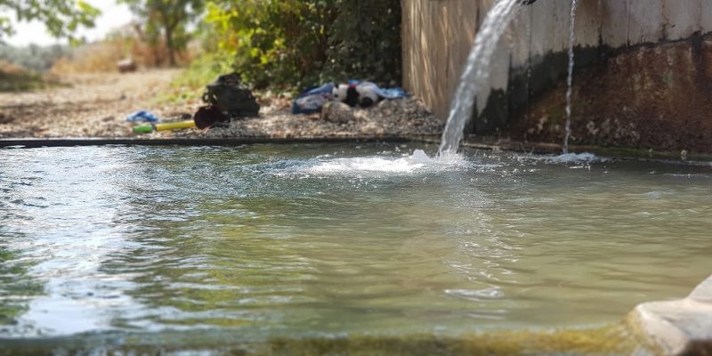 מעיין בשביל החמישה