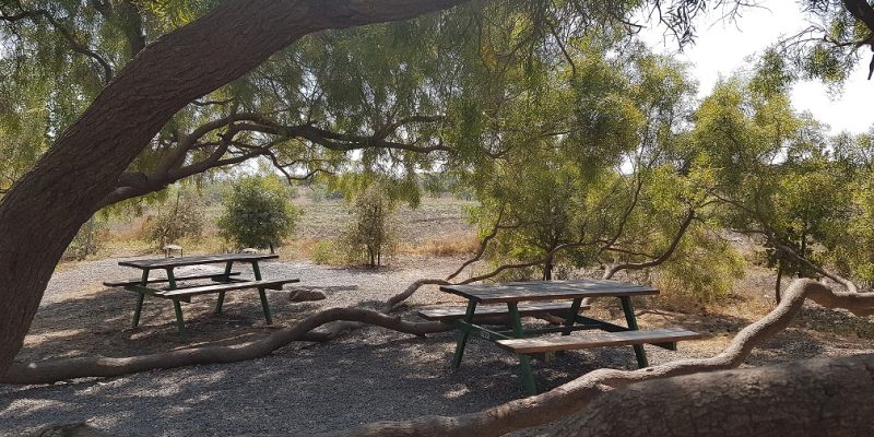 מעיין בשביל החמישה