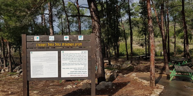 שמורת הטבע נחל גמל - קניון שגור