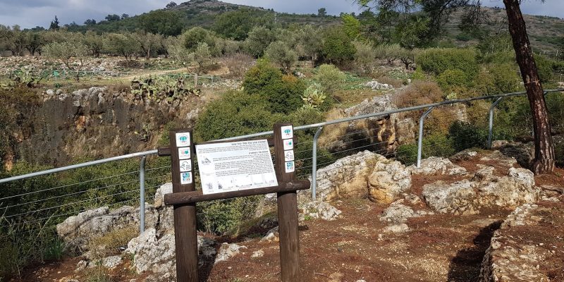 שמורת הטבע נחל גמל - קניון שגור