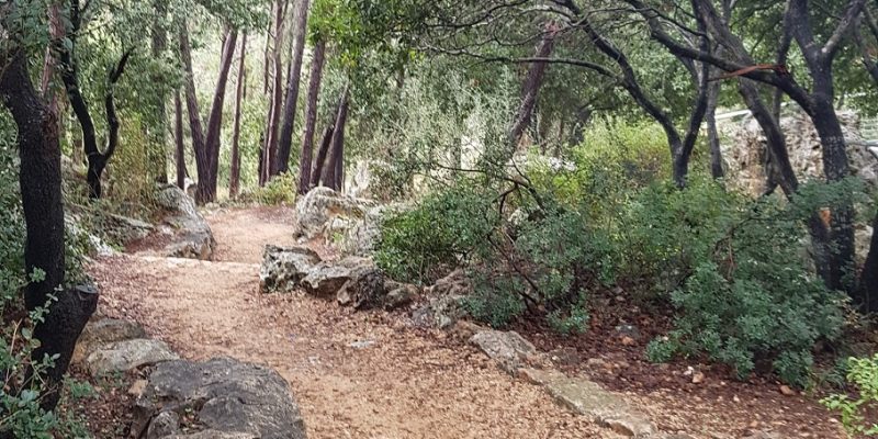 שמורת הטבע נחל גמל - קניון שגור