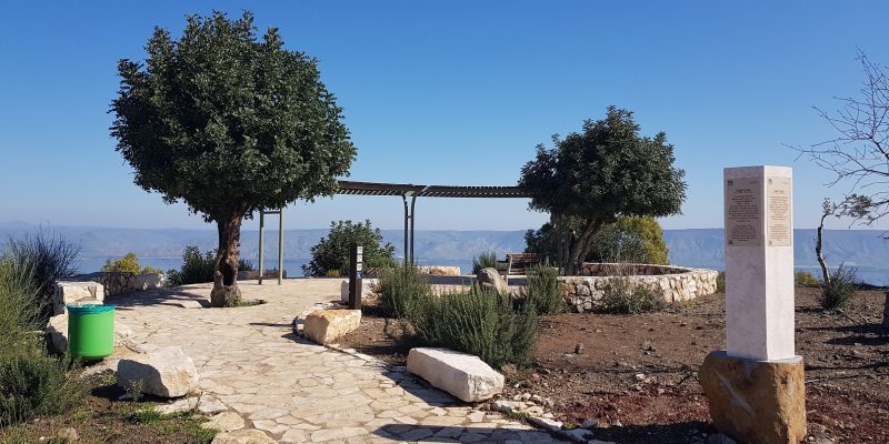 יער שוויץ – טיול בדרך נוף הכנרת