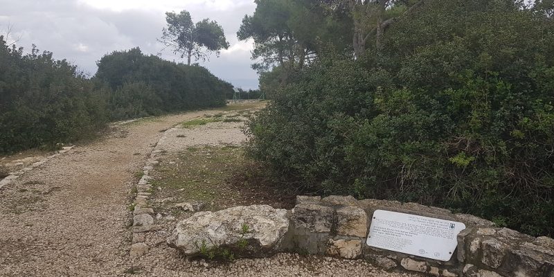 שביל הדורות בפארק יערות הכרמל