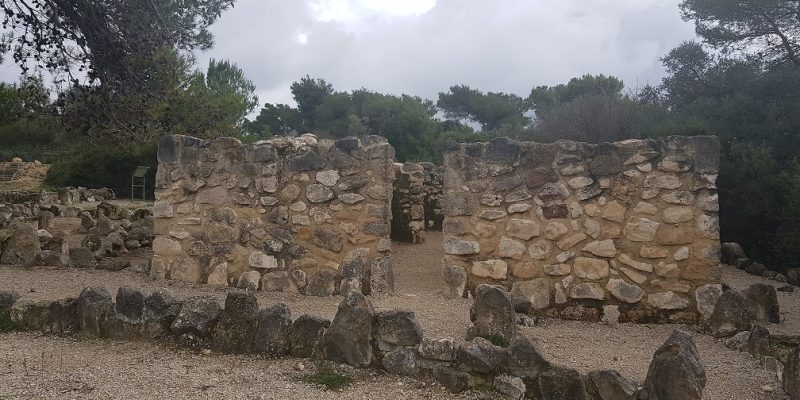 שביל הדורות בפארק יערות הכרמל