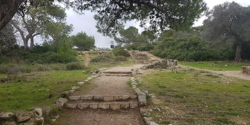 שביל הדורות בפארק יערות הכרמל
