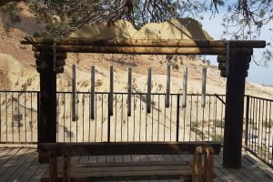 הגן הבוטני בקיבוץ עין גדי - חוויה מפתיעה